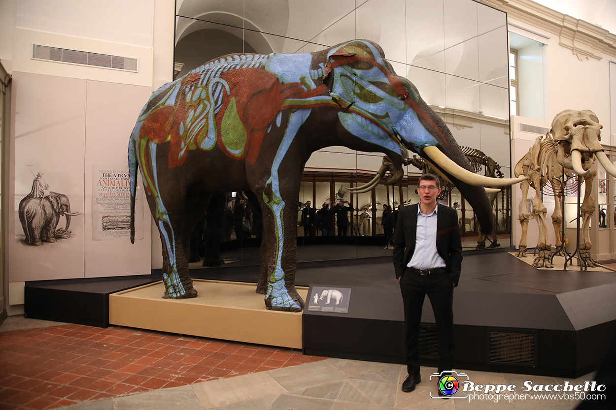 VBS_0907 - Riapre il Museo di Scienze Naturali dopo dieci anni di chiusura.jpg